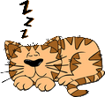 chat_dort chat_dort.png