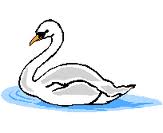 cygne.jpg